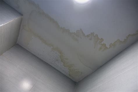 damp patch on ceiling, but no leak|What causes damp patches on ceilings 